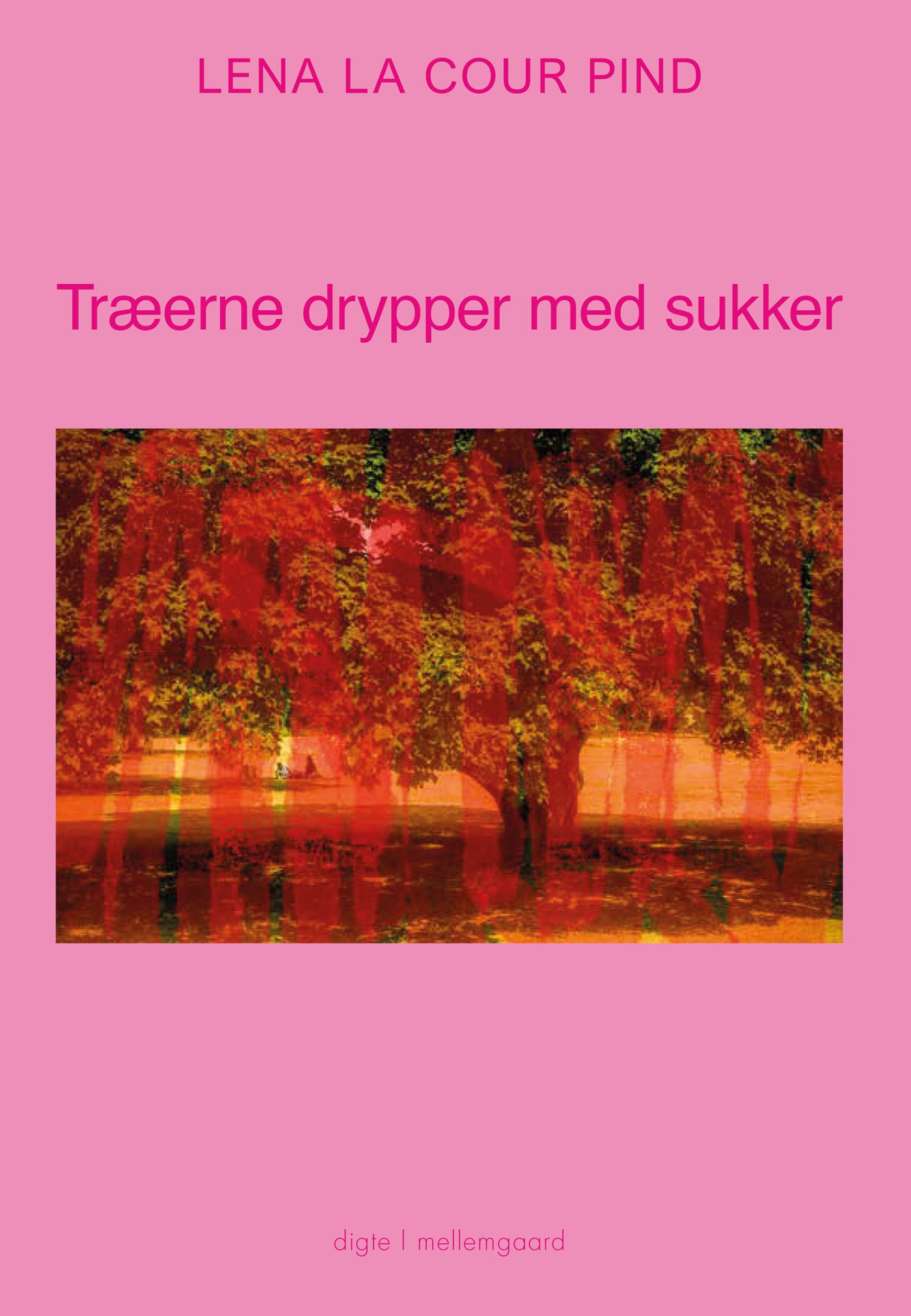 Træerne drypper med sukker