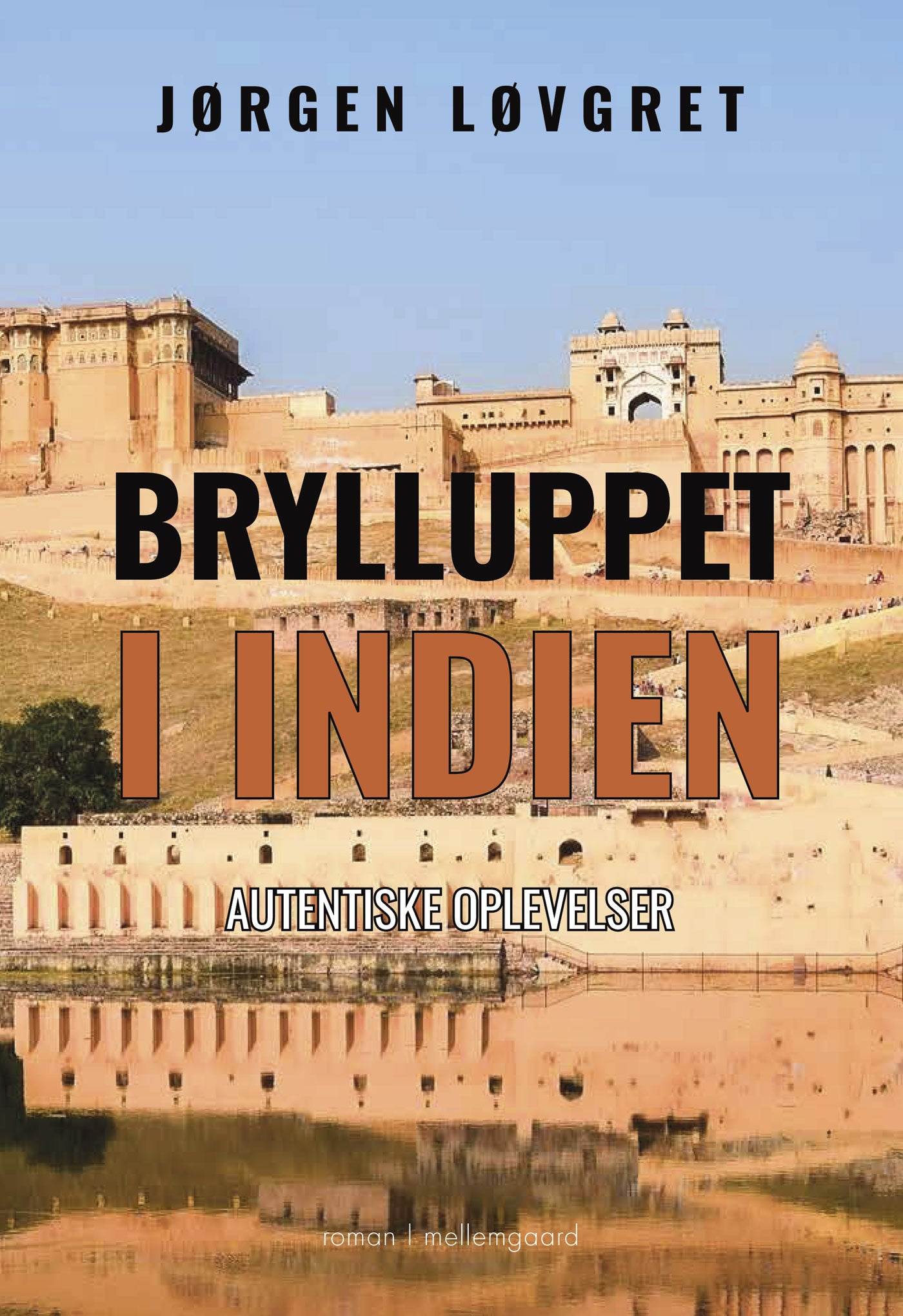 Brylluppet i Indien