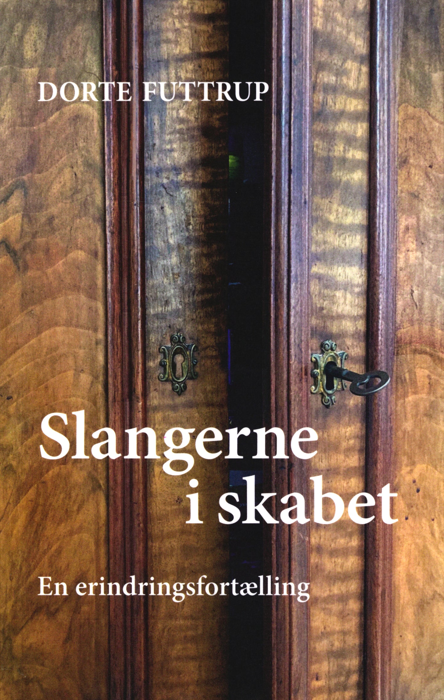 Slangerne i skabet. En erindringsfortælling