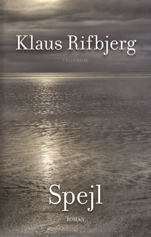 Spejl
