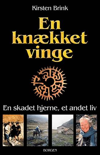 En knækket vinge