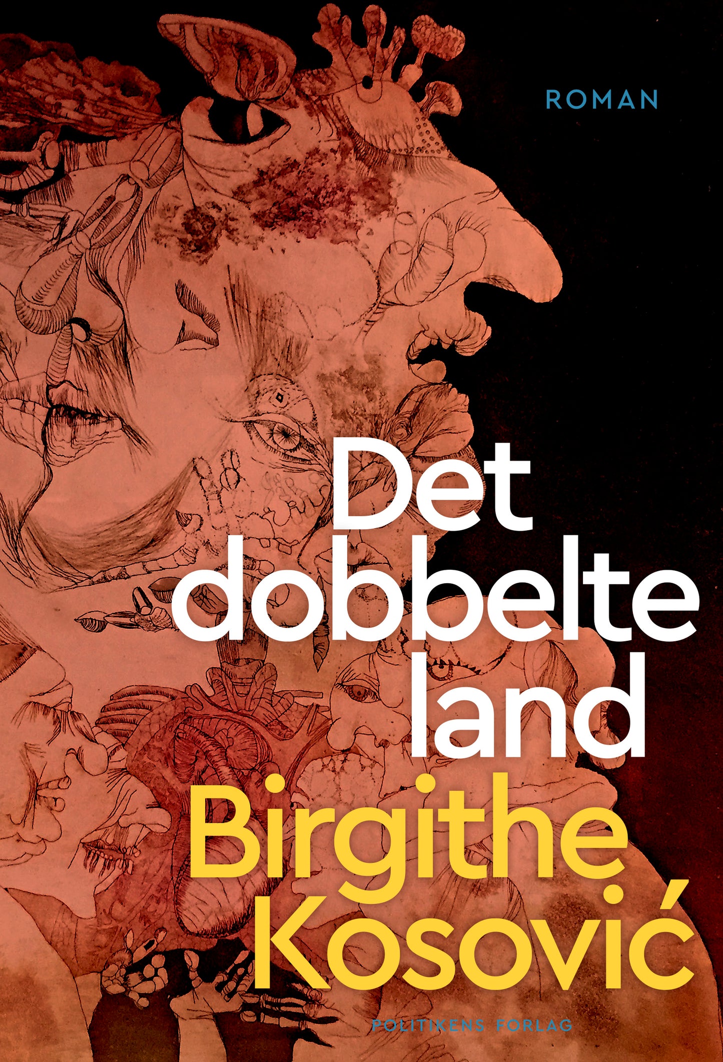 Det dobbelte land