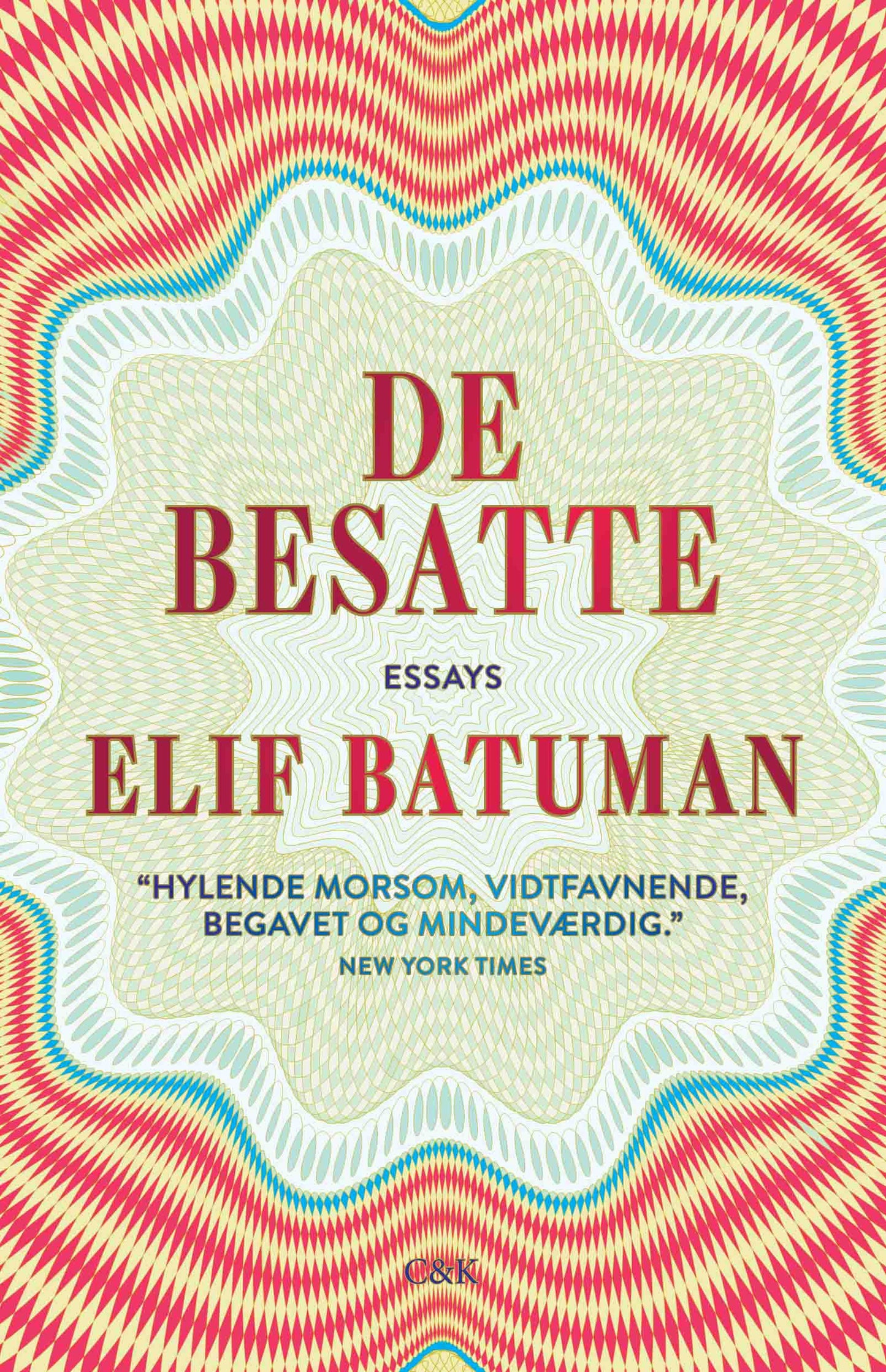 De besatte