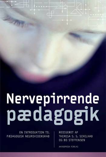 Pædagogisk evaluering