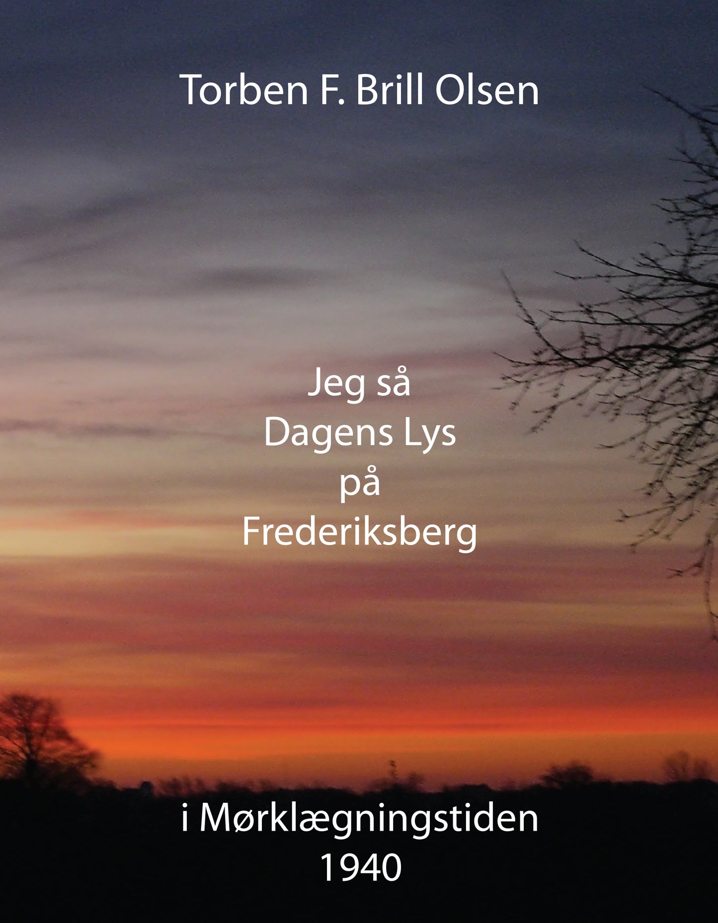 Jeg så Dagens Lys på Frederiksberg