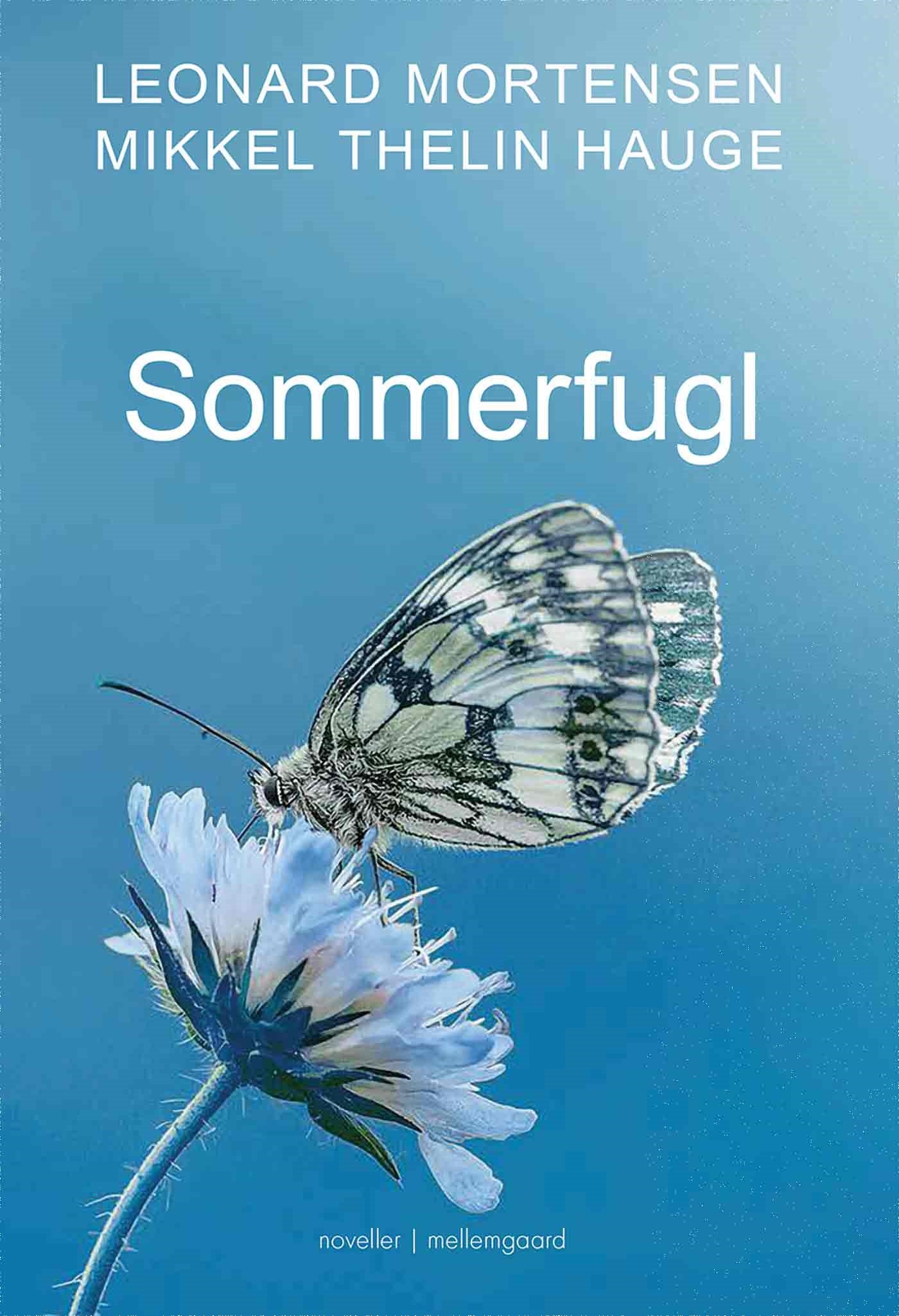 Sommerfugl