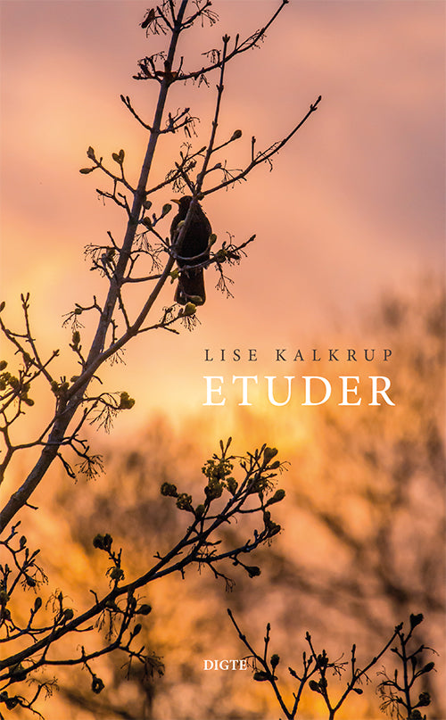 Etuder