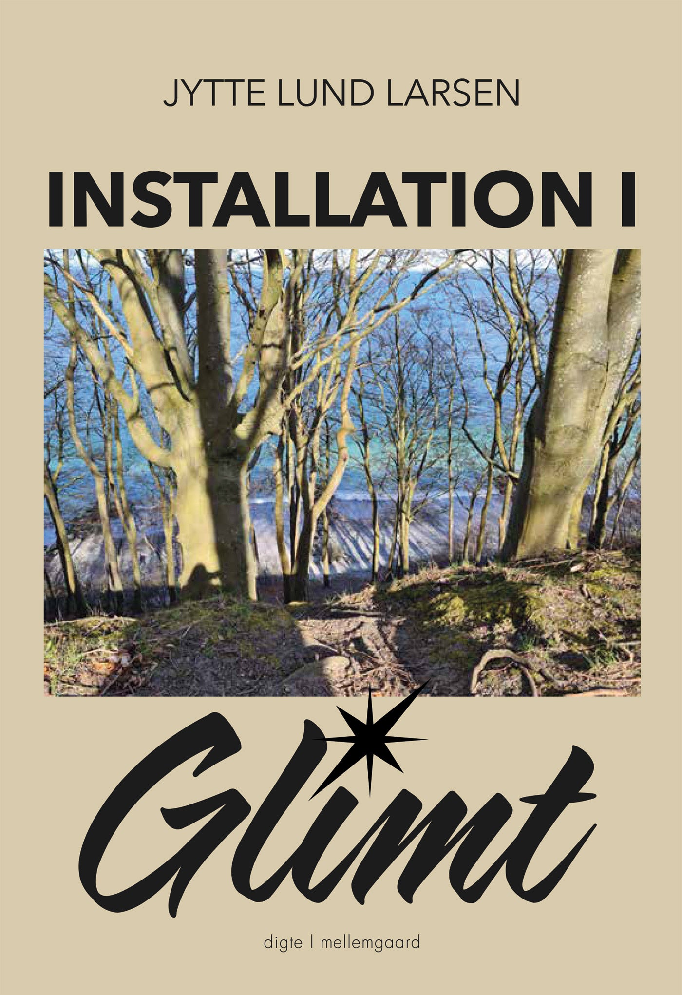 Installation i glimt