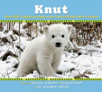 Knut