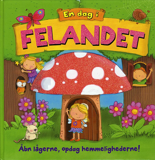 En dag i Felandet