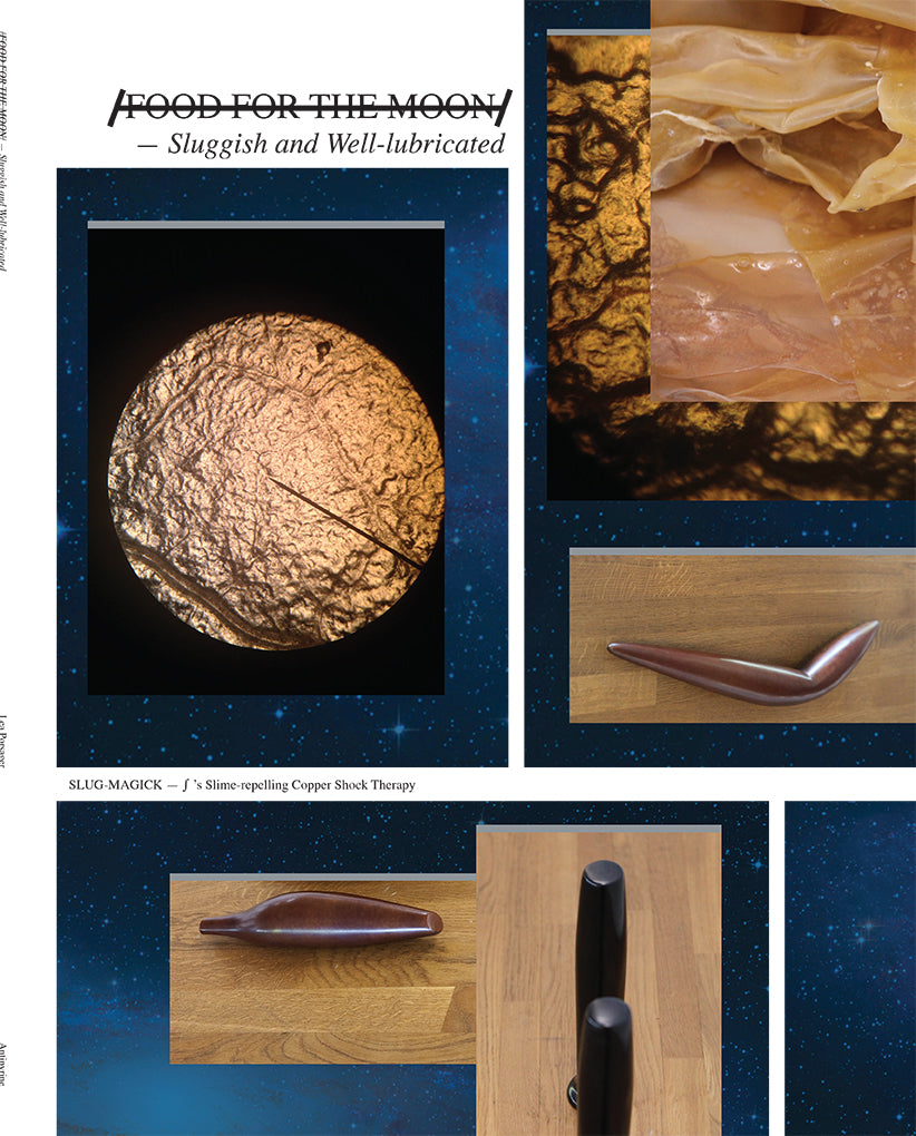 /FOOD FOR THE MOON/