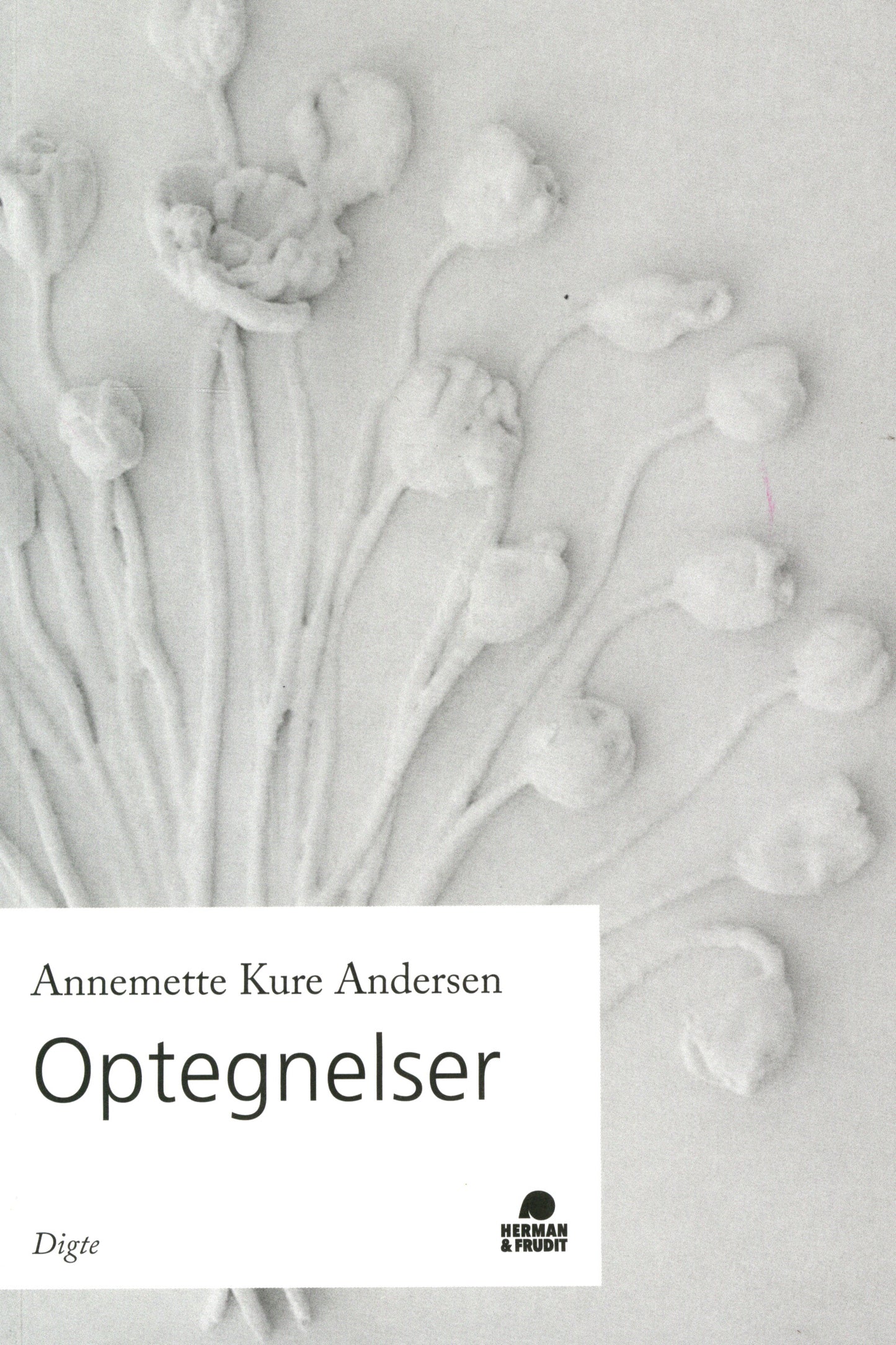 Optegnelser