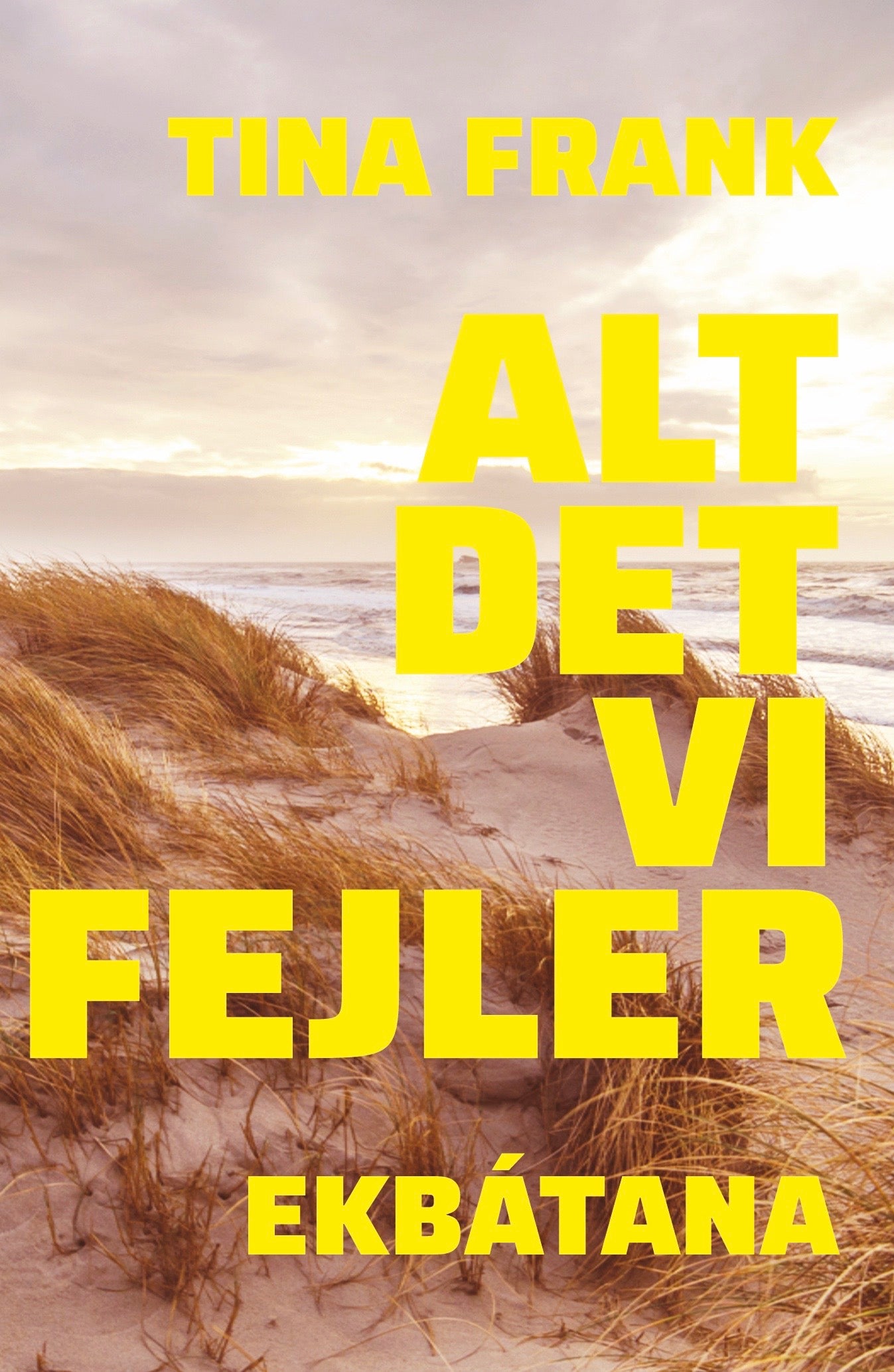 Alt det vi fejler