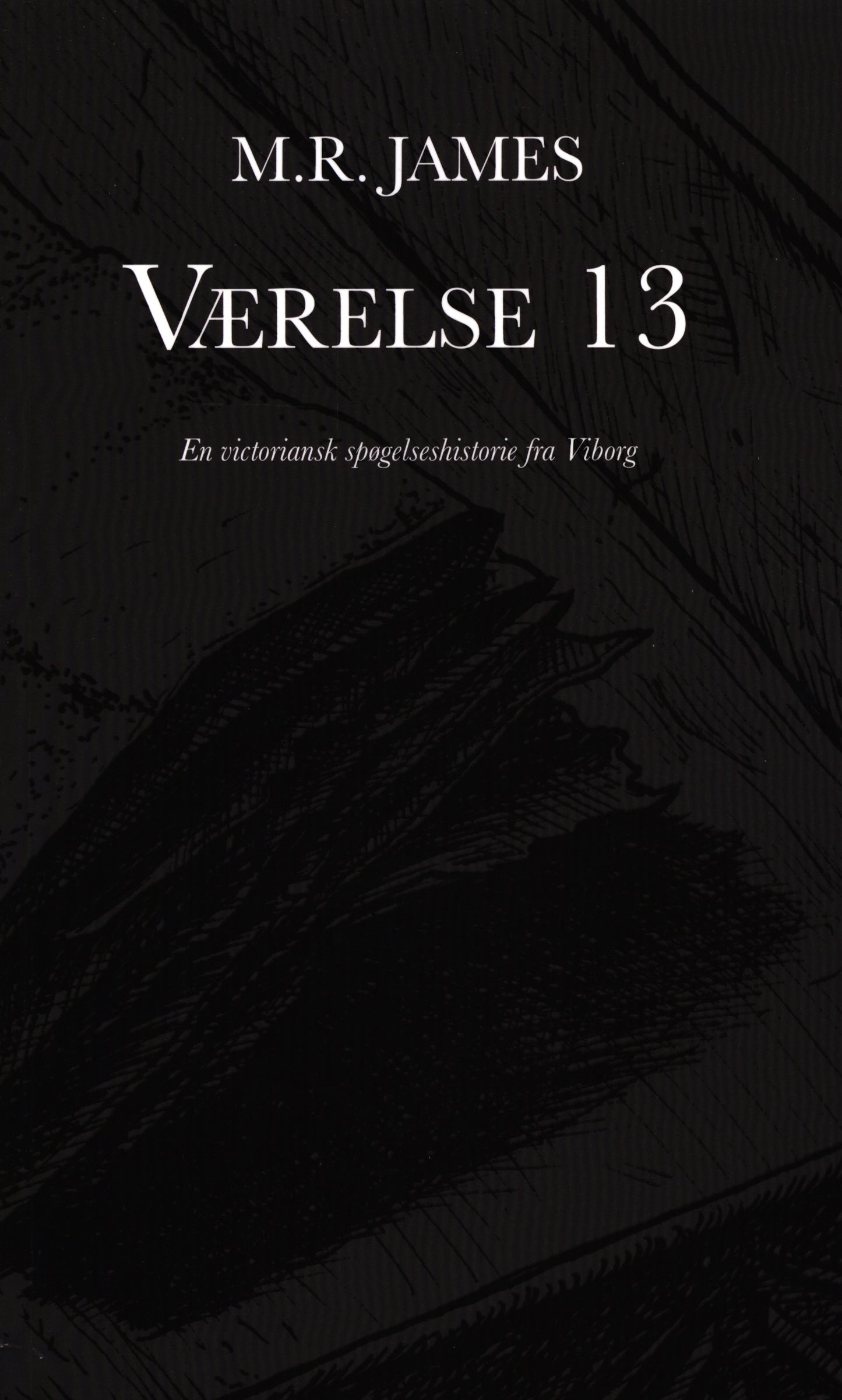 Værelse 13 - en victoriansk spøgelseshistorie fra Viborg