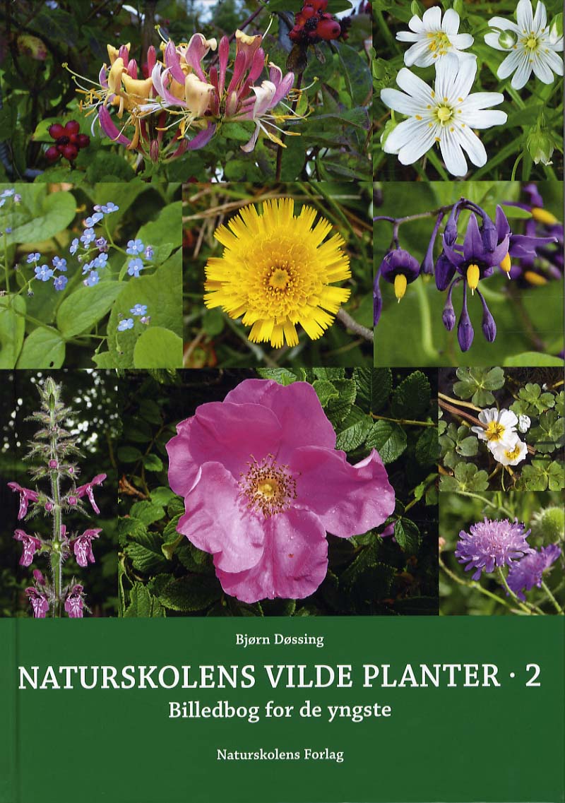 Naturskolens vilde planter 2