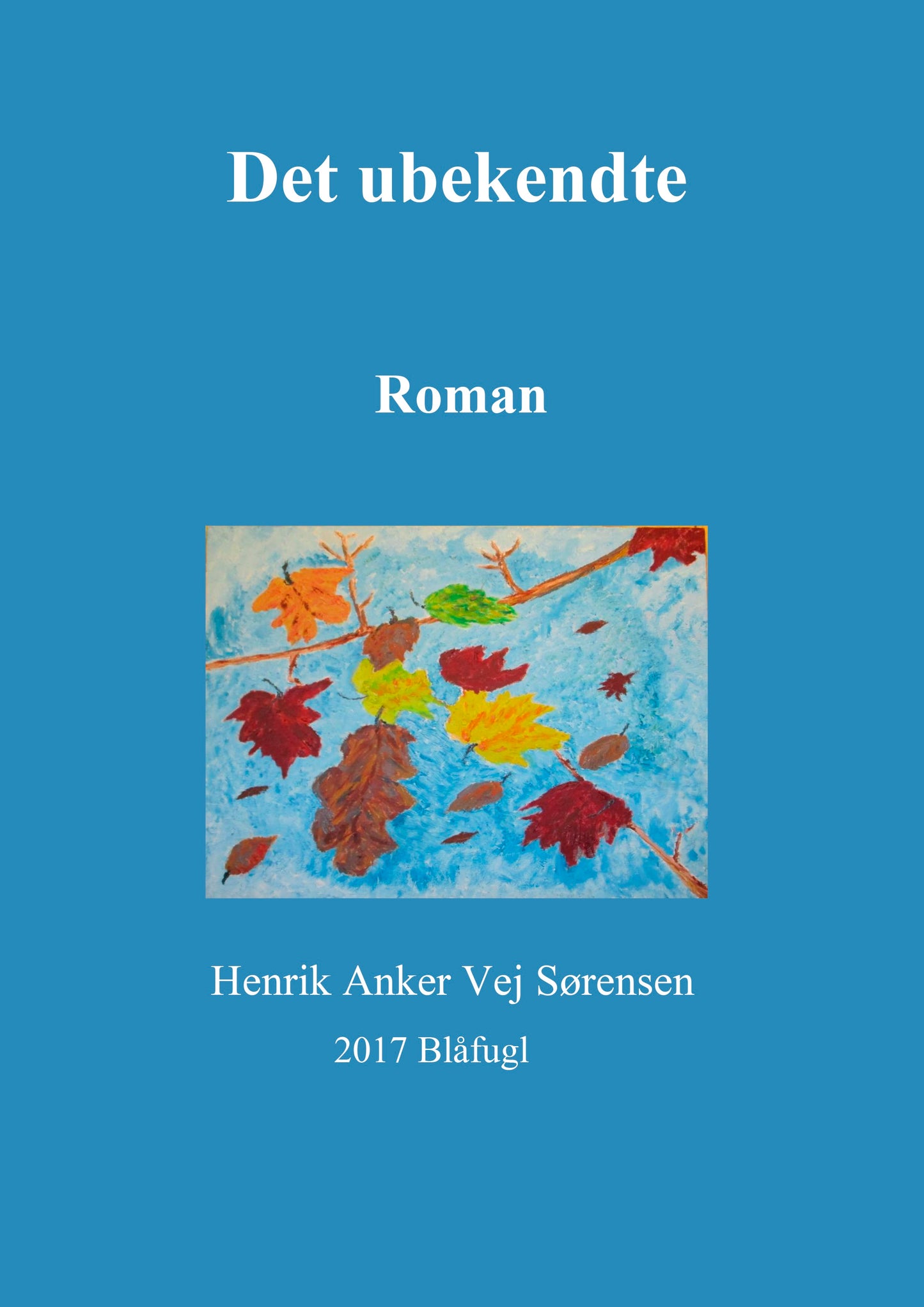 Det ubekendte