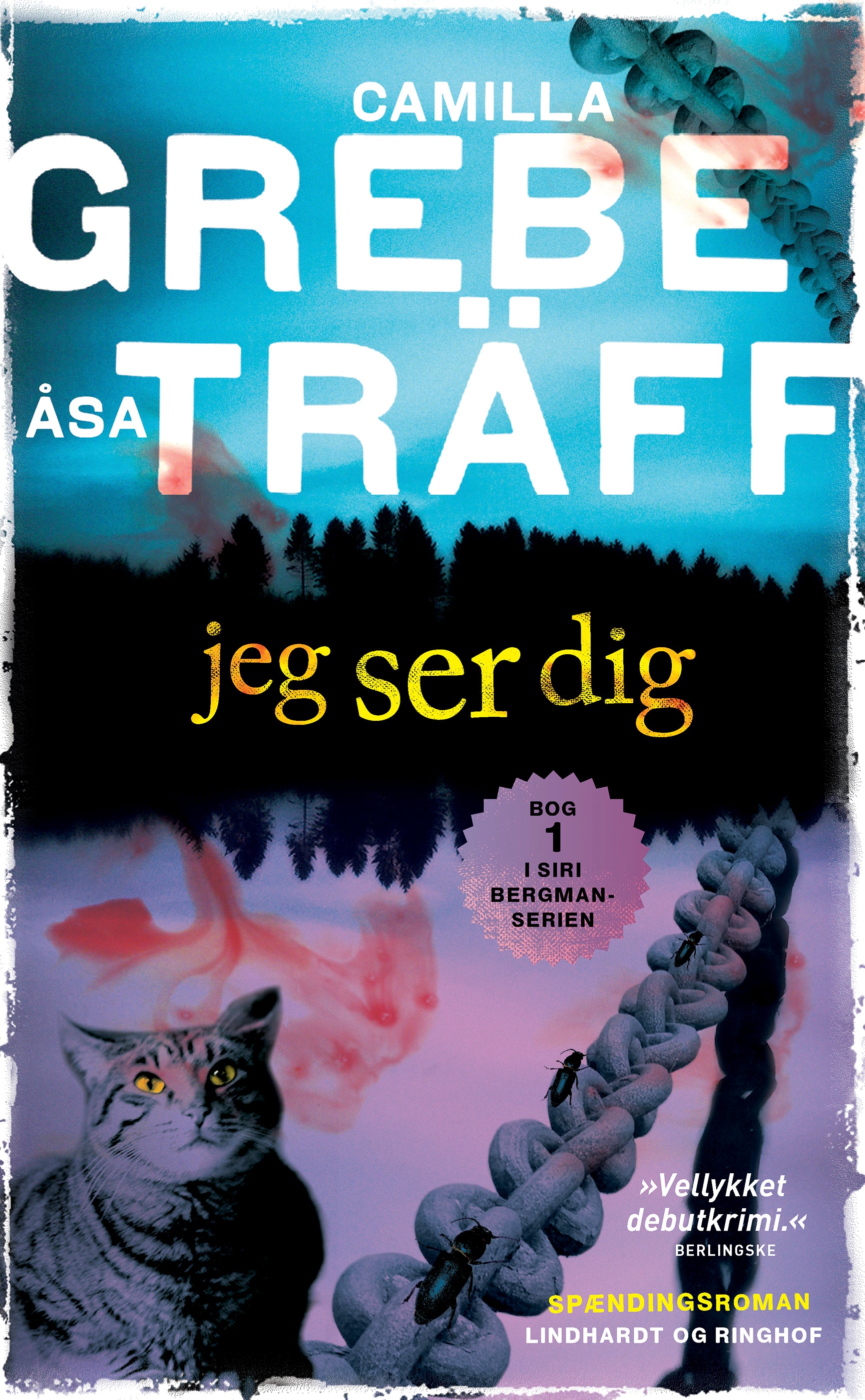 Jeg ser dig