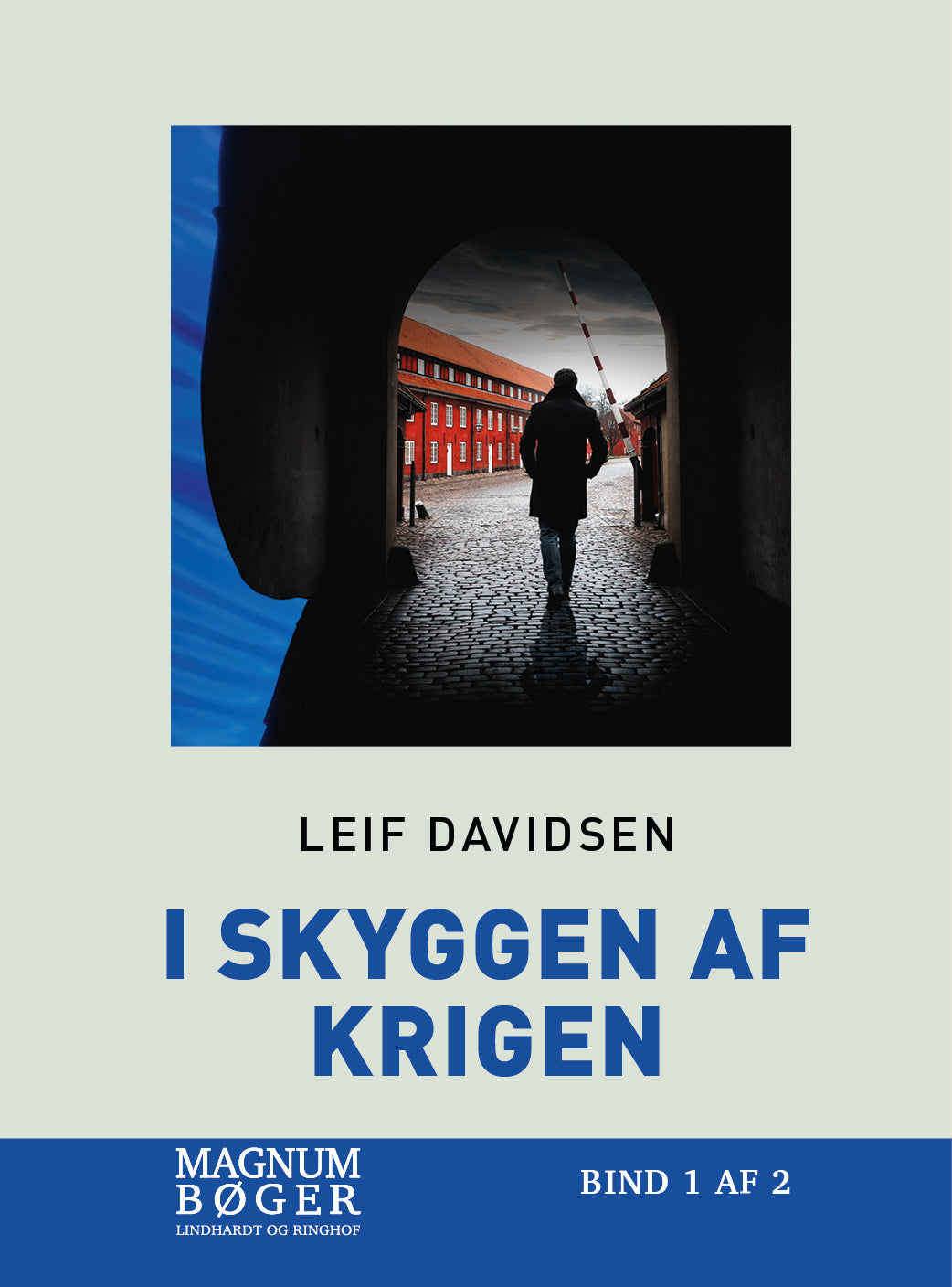 I skyggen af krigen (Storskrift)