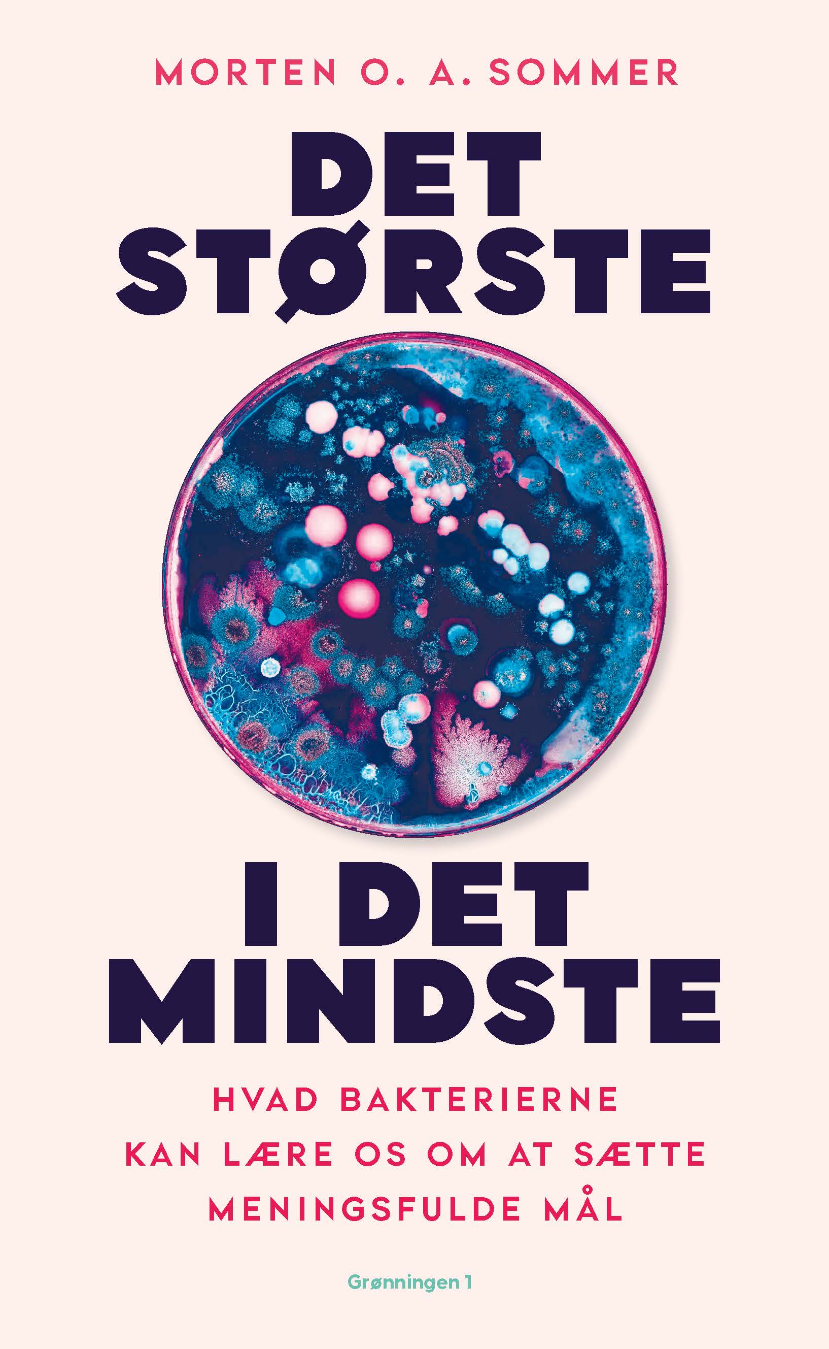 Det største i det mindste