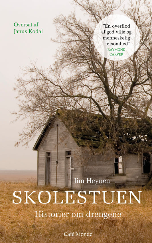 Skolestuen – historier om drengene