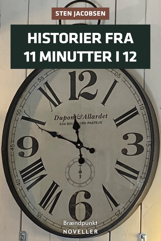 Historier fra 11 minutter i 12