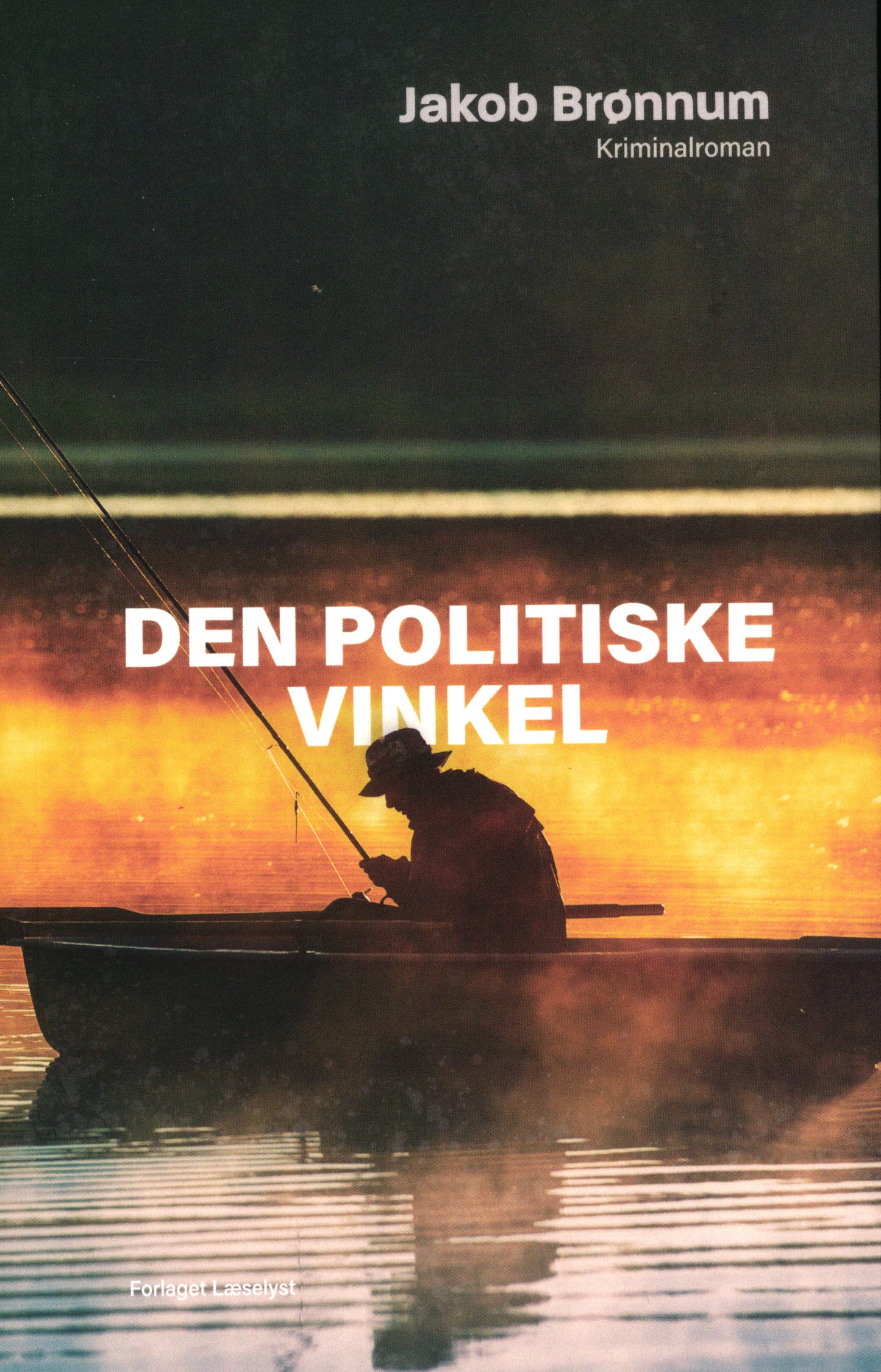 Den politiske vinkel