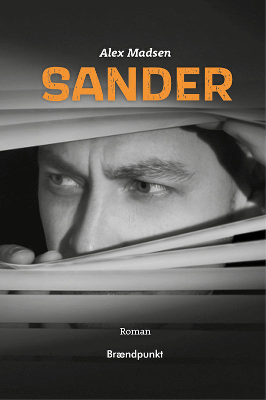 Sander