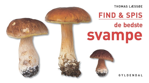 FIND & SPIS de bedste svampe