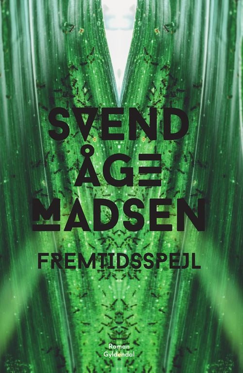 Fremtidsspejl