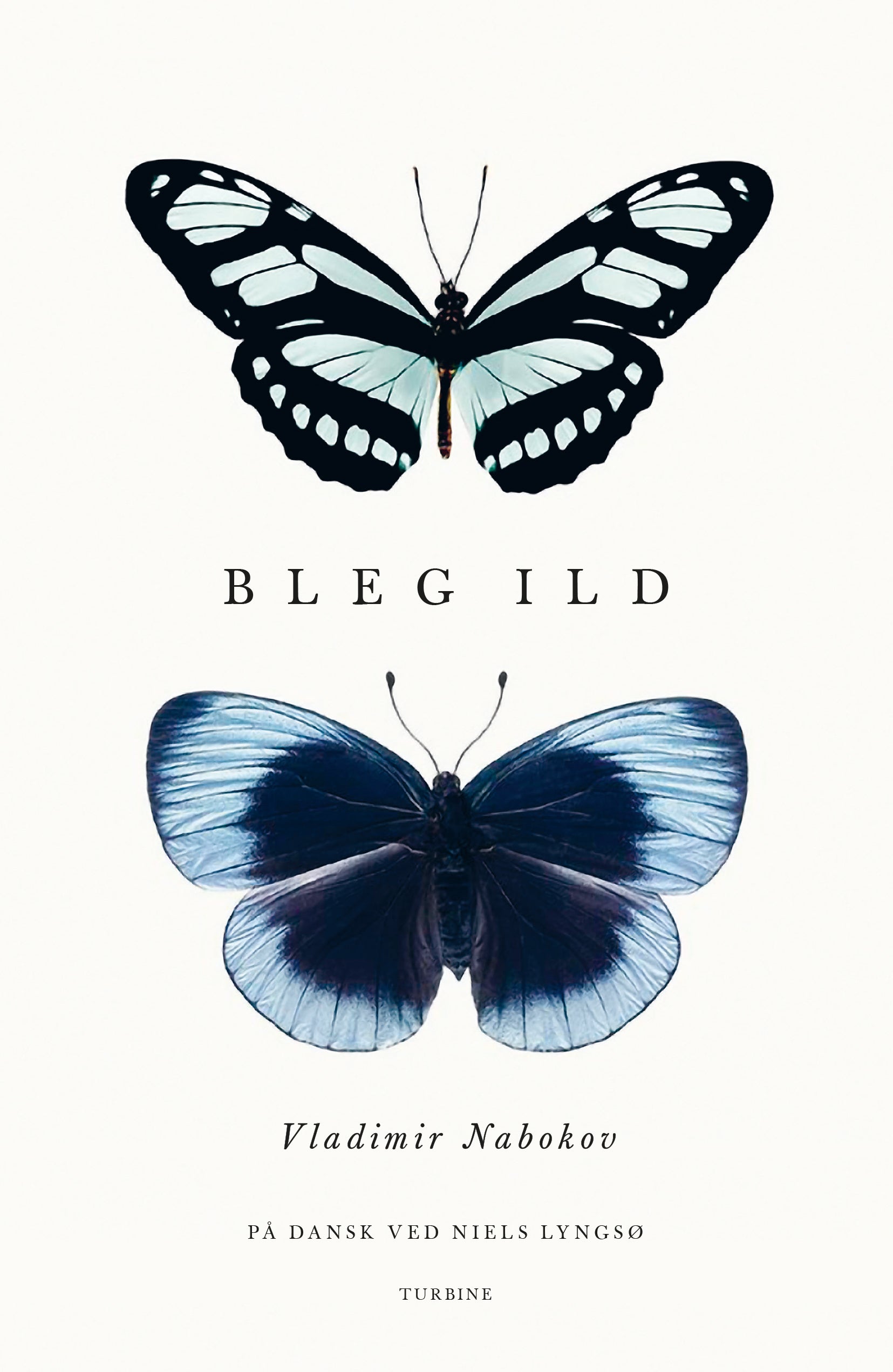Bleg ild