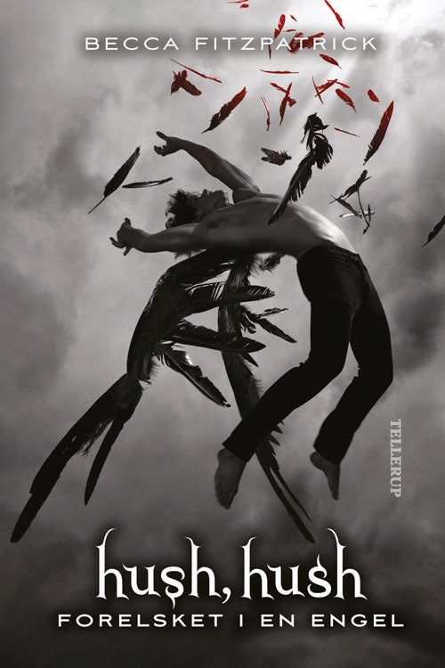 Hush, Hush #1: Forelsket i en engel