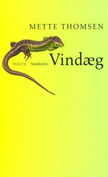 Vindæg