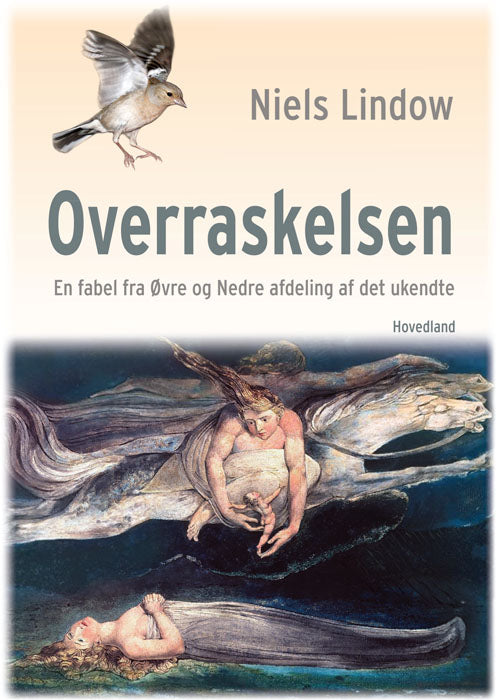 Overraskelsen