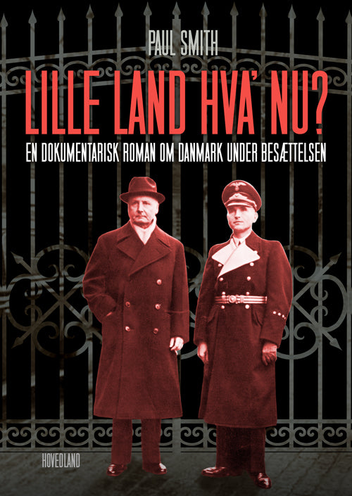 Lille land, hvad nu?