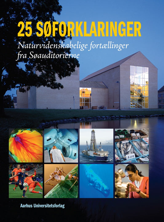 25 søforklaringer