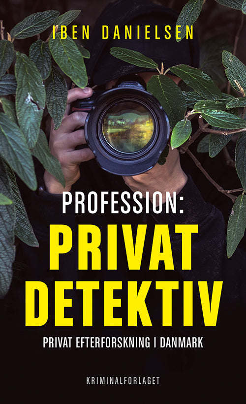 Profession: privatdetektiv