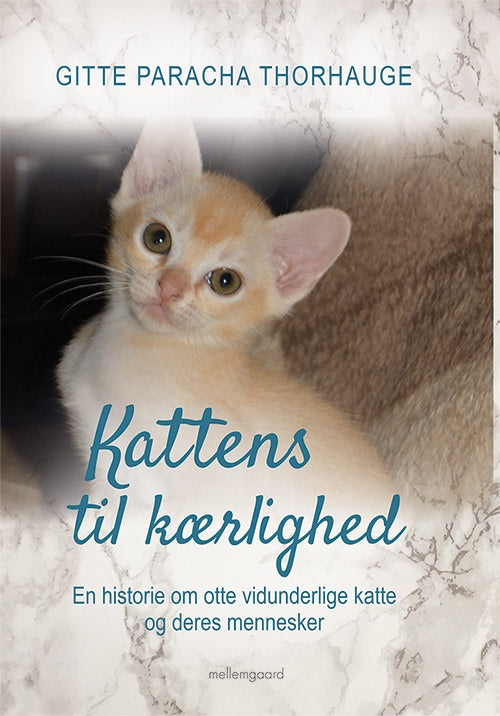 Kattens til kærlighed