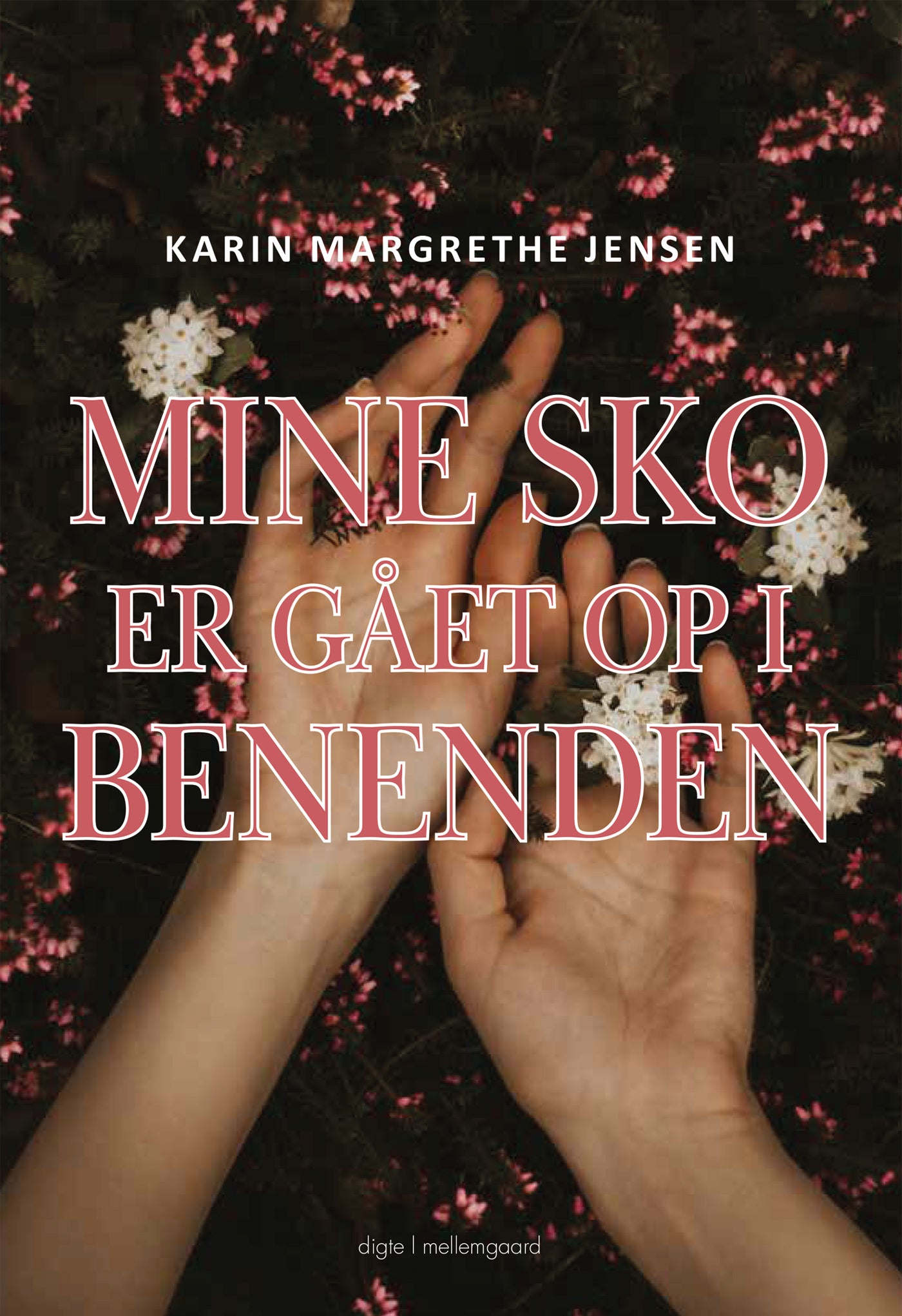 Mine sko er gået op i benenden