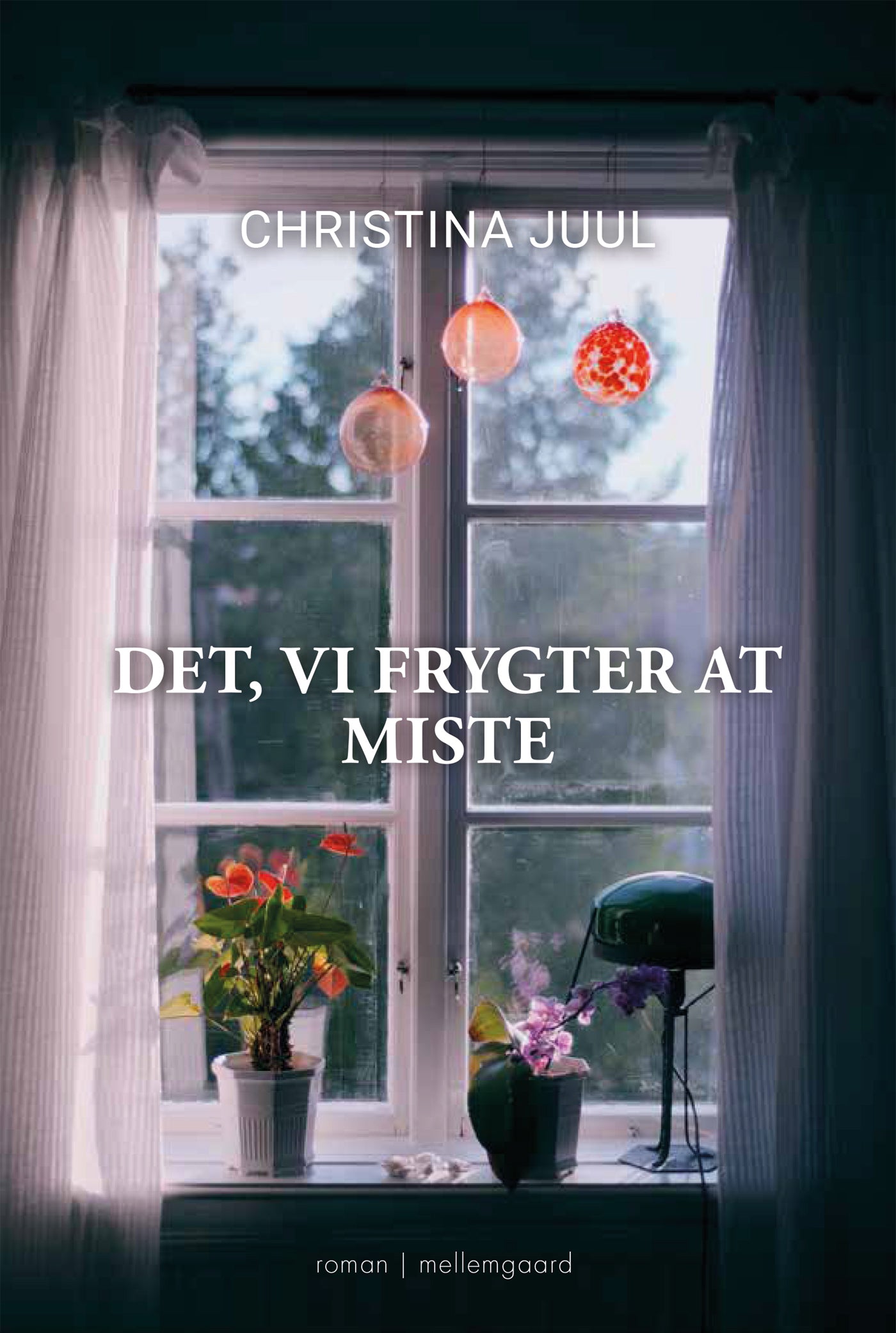 Det, vi frygter at miste
