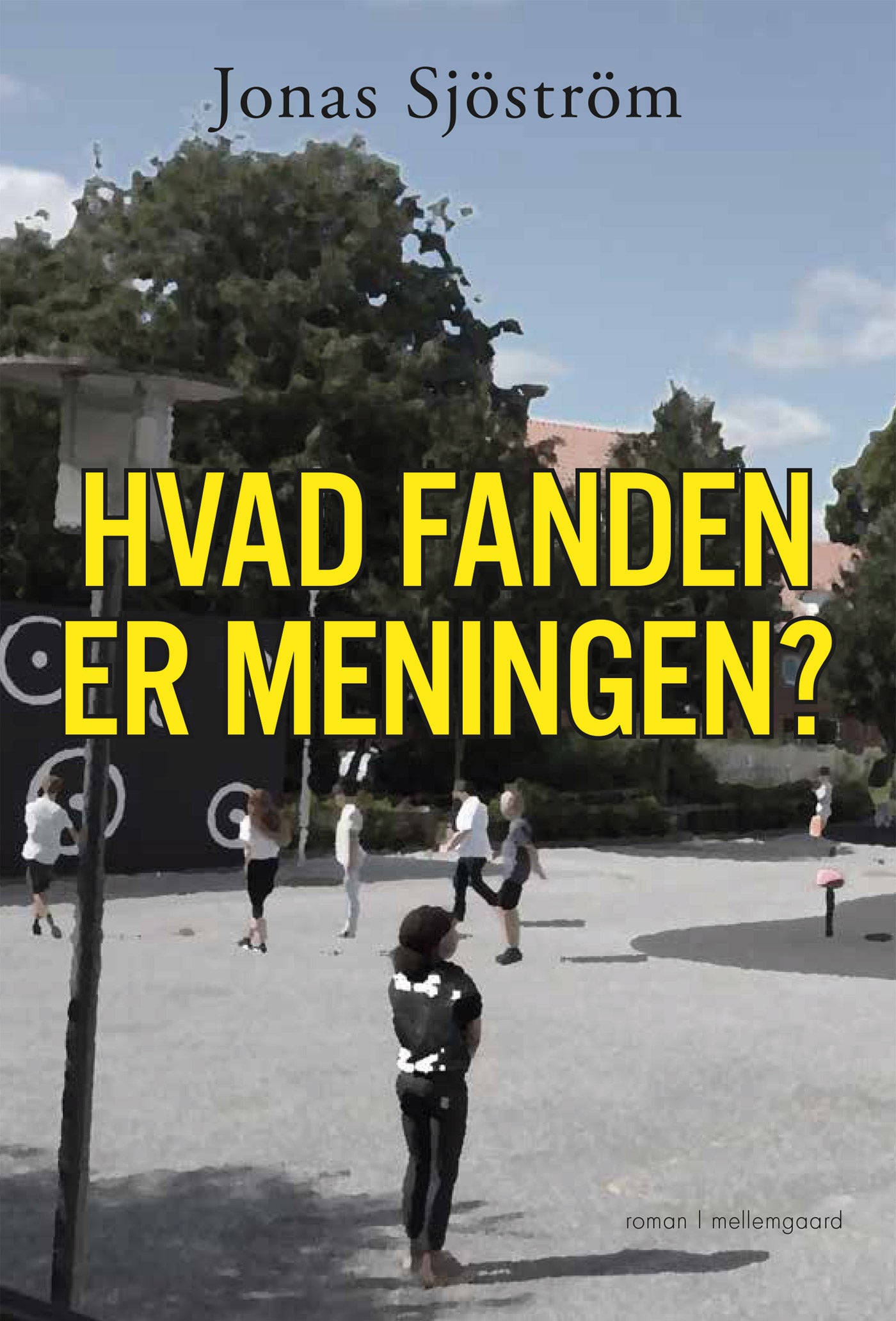 Hvad fanden er meningen?