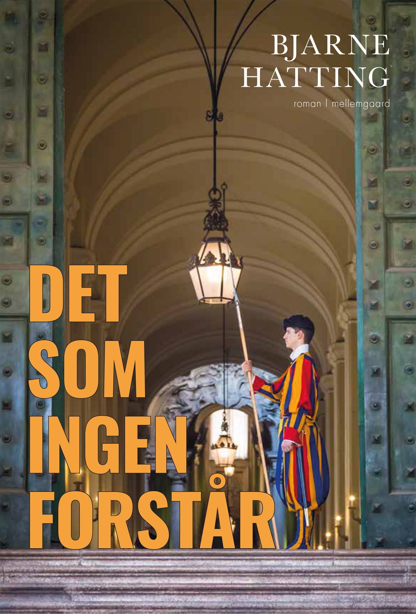 Det som ingen forstår