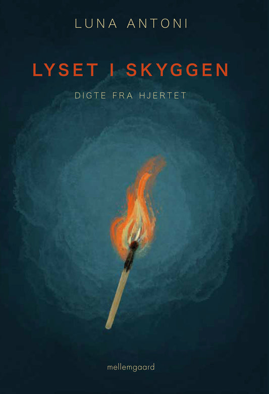 Lyset i skyggen