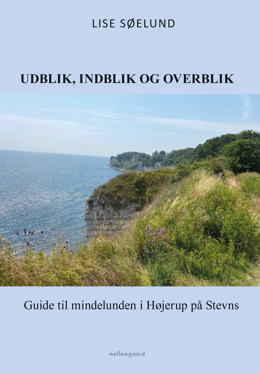 Udblik, indblik og overblik