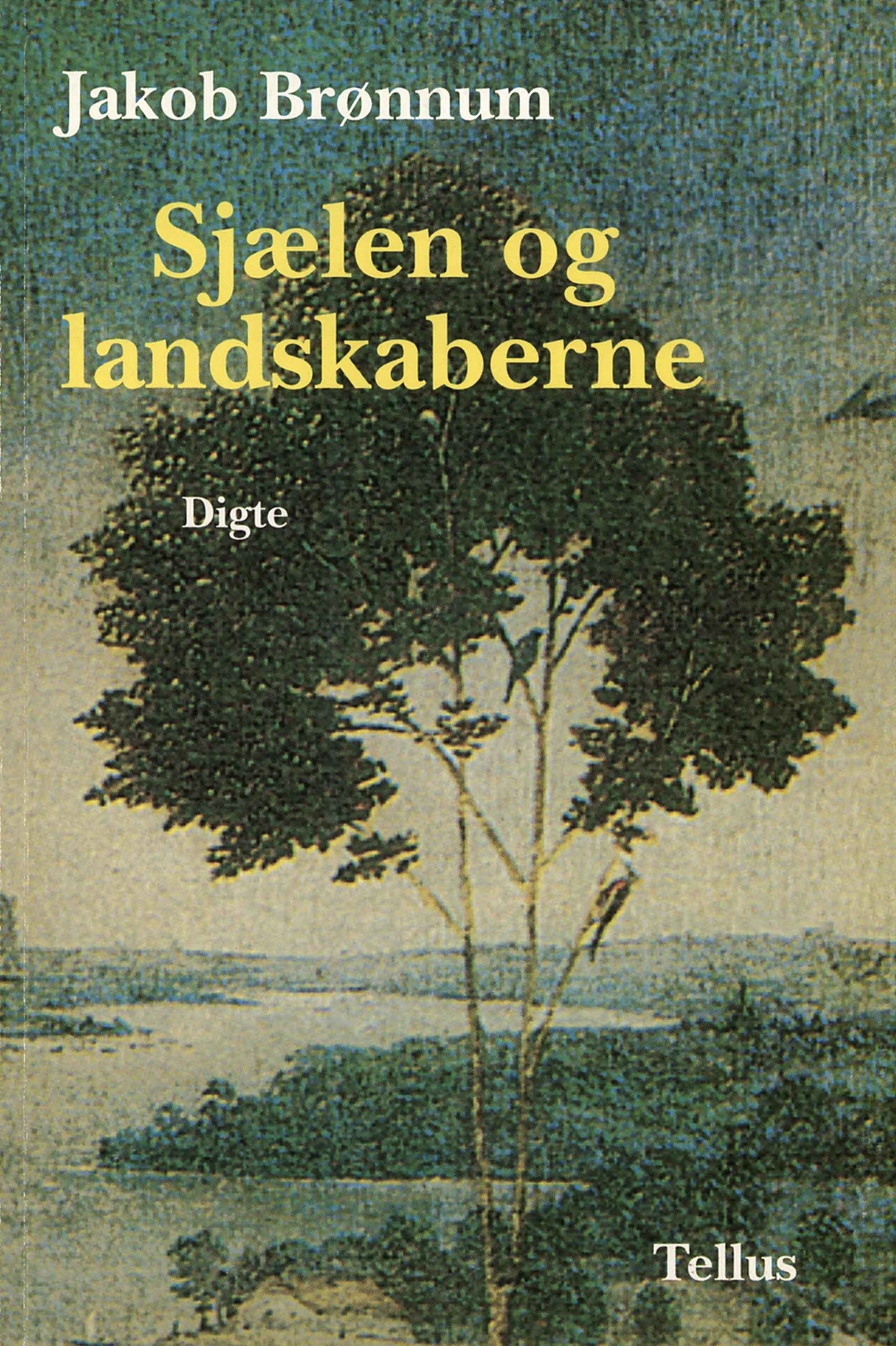 Sjælen og landskaberne