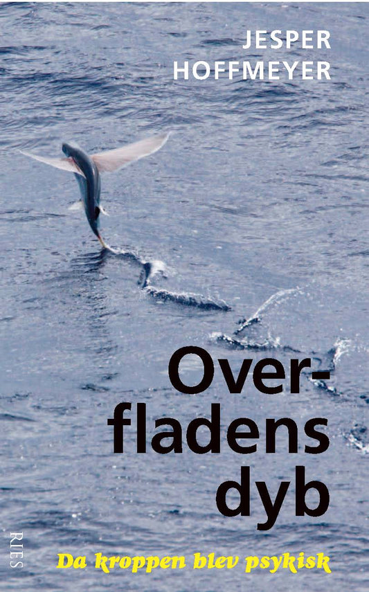 Overfladens dyb