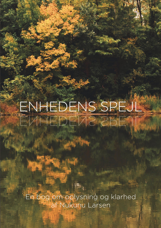 Enhedens Spejl
