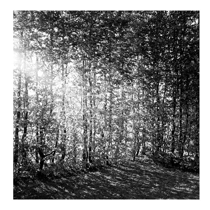 An Everchanging Monument