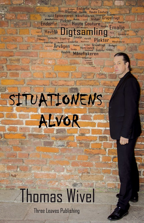 Situationens Alvor
