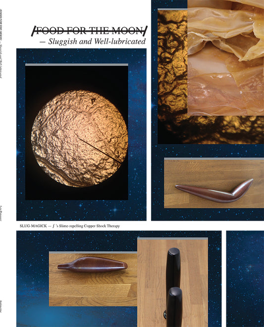 /FOOD FOR THE MOON/