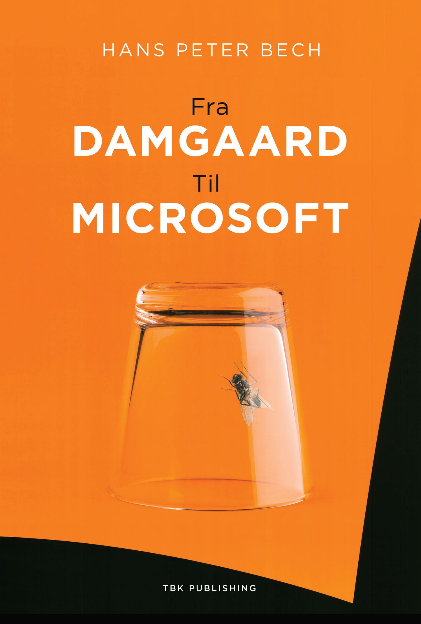 Fra Damgaard til Microsoft